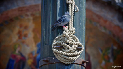 Streets and alleys: Streets and alleys of Venice