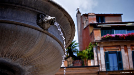 Trastevere: Fountain in Piazza Santa Maria in Trastevere