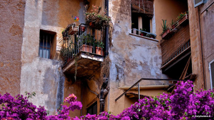 Trastevere: Trastevere
