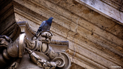 Trastevere: Acqua Paola fountain in Piazza Trilussa