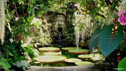 Isle of Ischia: La Mortella garden