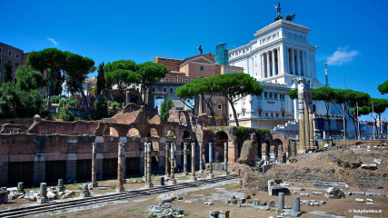 Il Foro romano: Foro di Cesare