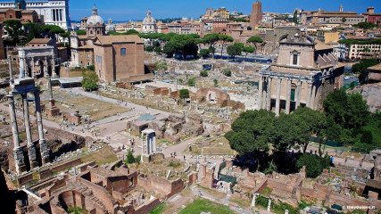 The Roman Forum: The Roman Forum