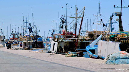 Trapani: Port of Trapani