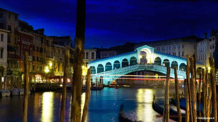 Rialto Bridge: Rialto Bridge at night