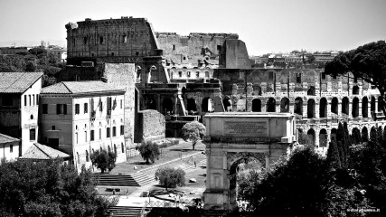 The Colosseum: The Colosseum: view from the Palatine