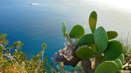 Capri: Capri panorama