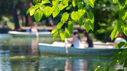 Villa Borghese: Laghetto di Villa Borghese