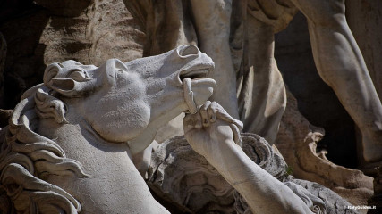 Fontana di Trevi: Cavalli marini e Tritoni