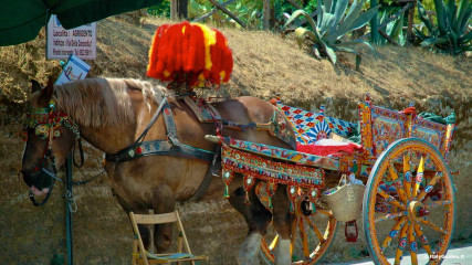 Agrigento: Valle dei Templi