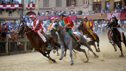 Siena: Palio di Siena