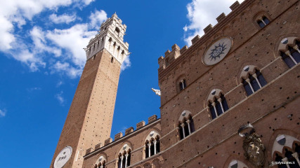 Siena: Palazzo Pubblico
