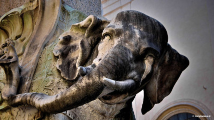 Piazza della Minerva: Piazza della Minerva, Elefante del Bernini