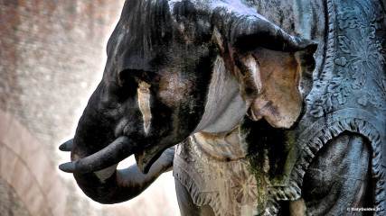 Piazza della Minerva: Piazza della Minerva, Elefante del Bernini