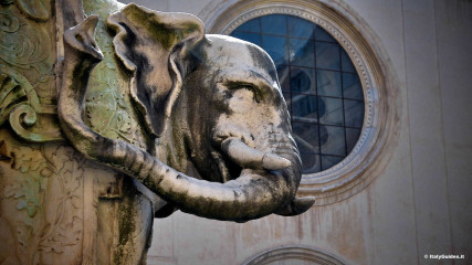 Piazza della Minerva: Piazza della Minerva, Elefante del Bernini