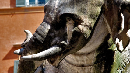 Piazza della Minerva: Piazza della Minerva, Elefante del Bernini