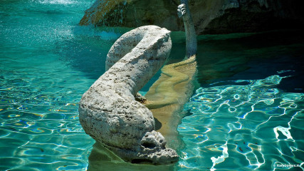 Piazza Navona: Fountain of the Four Rivers - Serpent