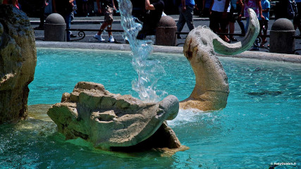 Piazza Navona: Fountain of the Four Rivers - sea monster