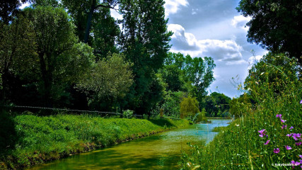 Villa Doria Pamphilj: Villa Doria Pamphilj