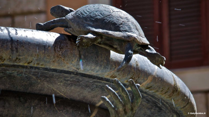 Fontana delle Tartarughe: Fontana delle Tartarughe, in Piazza Mattei
