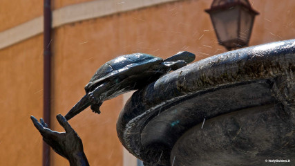Fontana delle Tartarughe: Fontana delle Tartarughe, in Piazza Mattei