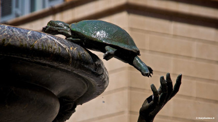 Fontana delle Tartarughe: Fontana delle Tartarughe, in Piazza Mattei