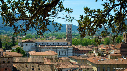 Lucca: Duomo di San Martino