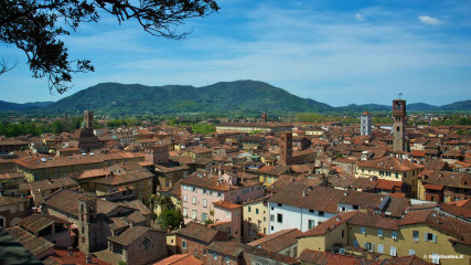 Lucca: View from Guinigi Tower