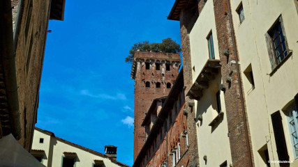 Lucca: Guinigi Tower 