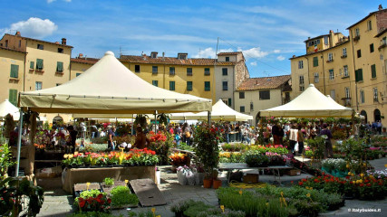 Lucca: Piazza dell'Anfiteatro