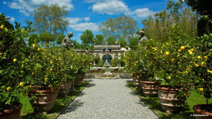 Lucca: Palazzo Pfanner