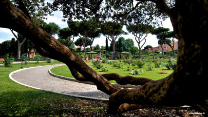 Aventine: Roseto Comunale - Aventine Hill