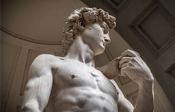 Michelangelo's David