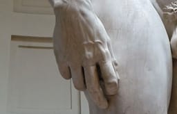 Michelangelo's David