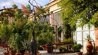 Lucca's botanic garden