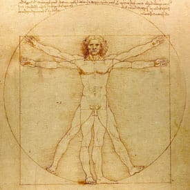L'Uomo Vitruviano di Leonardo da Vinci